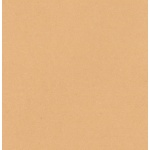 Χαρτί φωτοαντιγραφικό μπεζ-καφέ Α4 500 φύλλα 80γρ,