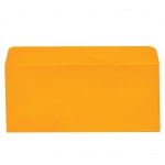 Φάκελος πολυτελείας πορτοκαλί 200γρ. 11x31εκ.