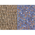 Rainbow χαρτόνι "κοχύλια-βότσαλα" 300γρ. 50x70εκ.