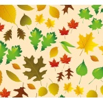 Χαρτόνι "φύλλα" 50x70εκ. 300γρ.