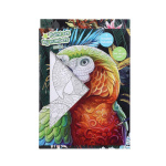 Ζωγραφική με αριθμούς σε καμβά παπαγάλος 30x40 εκ.